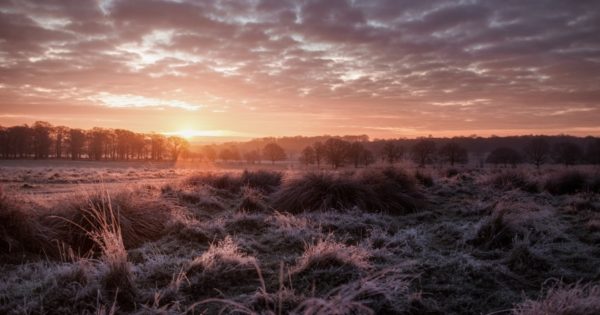 Ahogy a sötétség veszi át a teret december 21-ig, úgy változnak az álmaim...